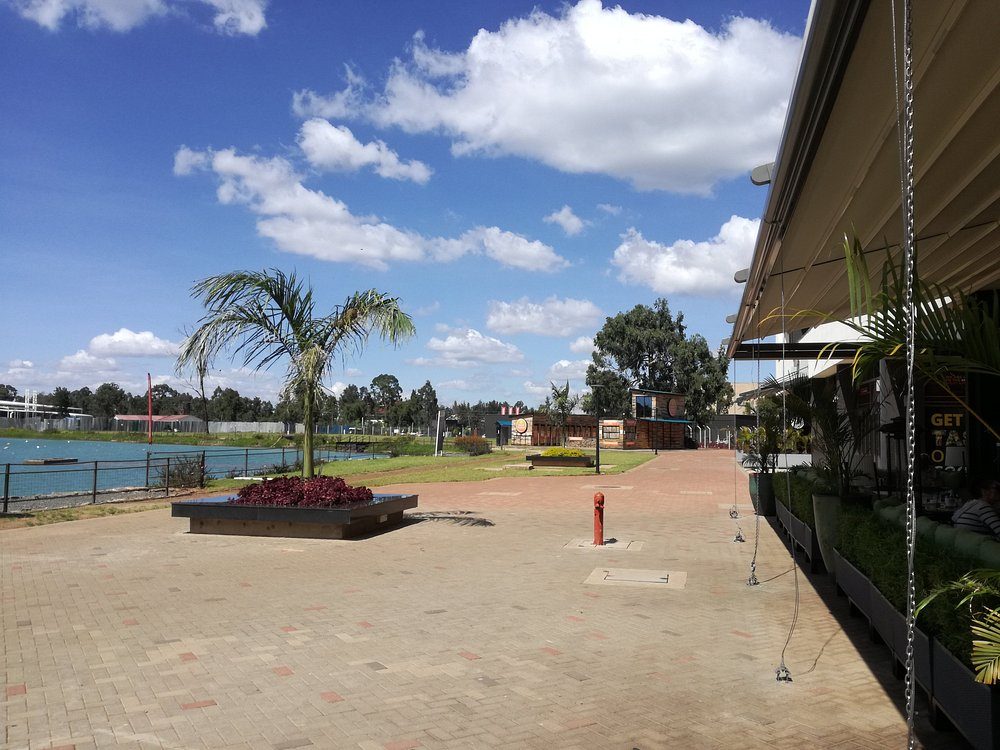 The lakeside promenade — brick paving, palms and open water
